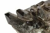 Dark Smoky Quartz Crystal Cluster - Brazil #266154-1